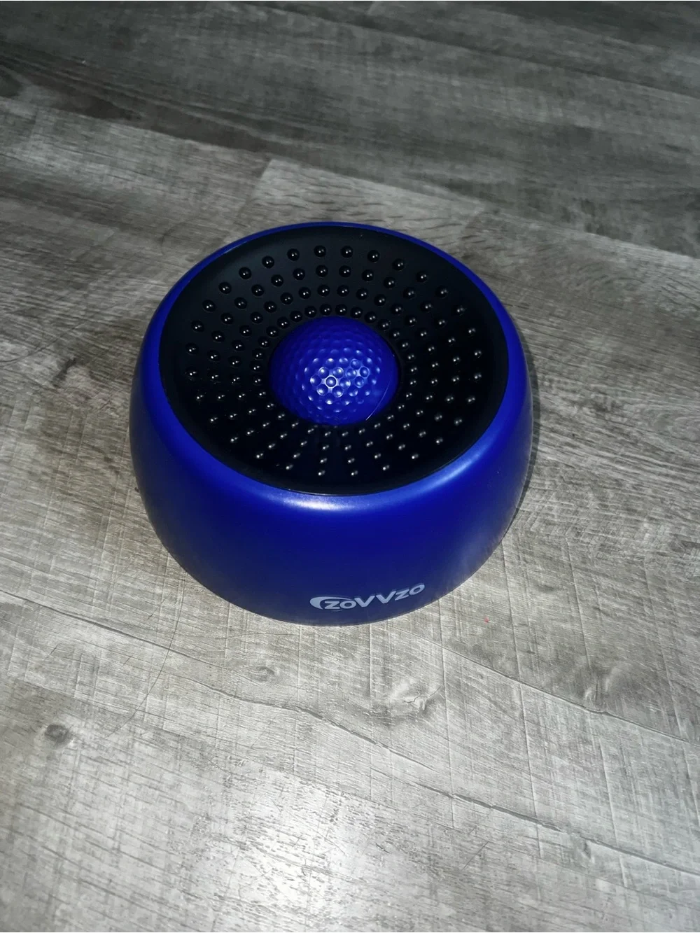 Blue Slow Feeder Dog Lick Bowl - Interactive Licking & Enrichment Toy
